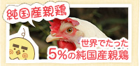 純国産親鶏　世界でたった5％の純国産鶏